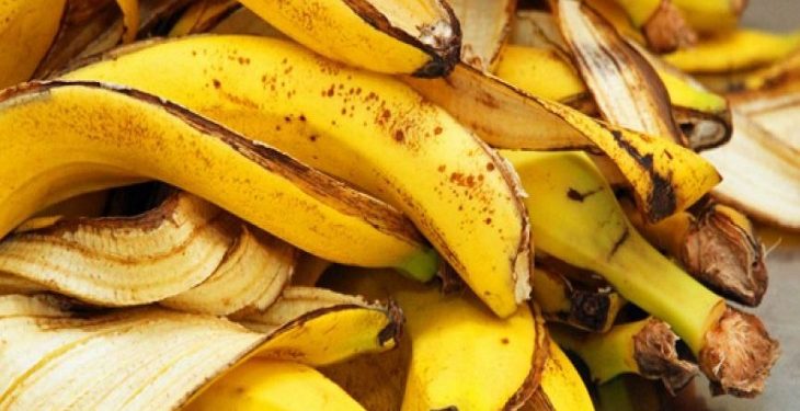 কলার খোসার নানা ব্যবহার