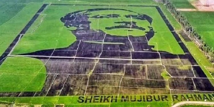 ‘শস্যচিত্রে বঙ্গবন্ধু’ চিত্রকর্মটি গিনেস বুক অব ওয়ার্ল্ড রেকর্ডে স্থান পেয়েছে