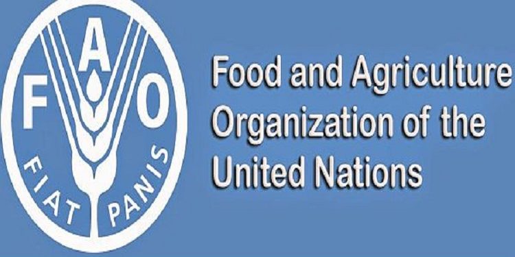 জাতিসংঘের খাদ্য ও কৃষি সংস্থার কাউন্সিলের সদস্য বাংলাদেশ