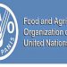 জাতিসংঘের খাদ্য ও কৃষি সংস্থার কাউন্সিলের সদস্য বাংলাদেশ