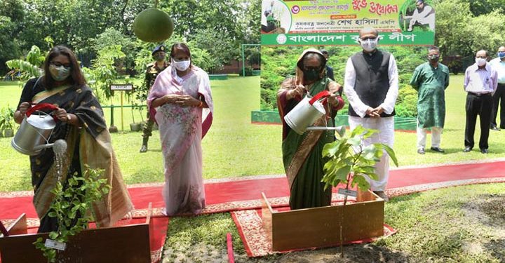 অন্তত তিনটি করে গাছ লাগান : প্রধানমন্ত্রী