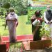 অন্তত তিনটি করে গাছ লাগান : প্রধানমন্ত্রী