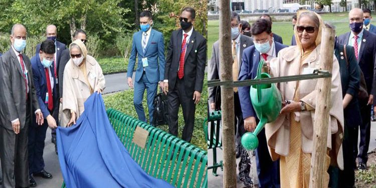 জাতিসংঘ সদর দফতরে বঙ্গবন্ধুর নামে বৃক্ষরোপণ ও বেঞ্চ উৎসর্গ
