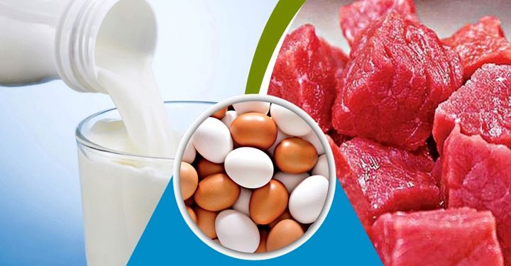 রমজানে কম দামে দুধ, ডিম ও মাংস বিক্রি করবে সরকার