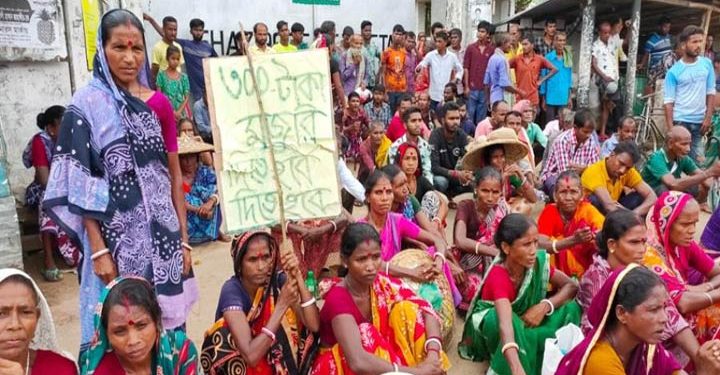 মজুরি ২০ টাকা বাড়ার আশ্বাসে চা শ্রমিকদের ধর্মঘট প্রত্যাহার