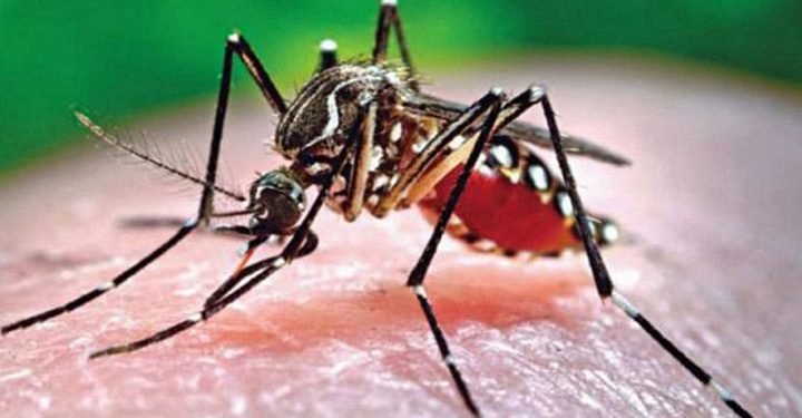 ডেঙ্গুতে আরও ১ জনের মৃত্যু, হাসপাতালে ভর্তি আরও ৩৯৯