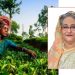 চা শ্রমিকদের ঘর করে দেবেন প্রধানমন্ত্রী