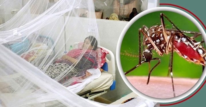 ডেঙ্গু : আরও ৬ জনের মৃত্যু, হাসপাতালে ভর্তি ৮৬৯