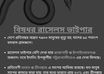 কতোটা ভয়ঙ্কর রাসেলস ভাইপার?
