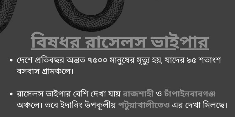 কতোটা ভয়ঙ্কর রাসেলস ভাইপার?