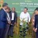 জাতীয় বৃক্ষরোপণ অভিযান ও বৃক্ষমেলা উদ্বোধন করলেন প্রধানমন্ত্রী